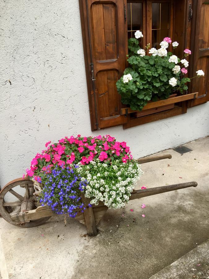 Albergo Meuble Tarandan Forni di Sopra Luaran gambar